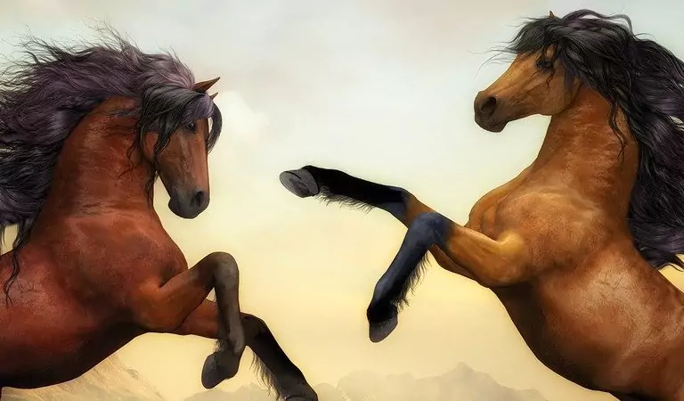 beautiful painting of two horses
