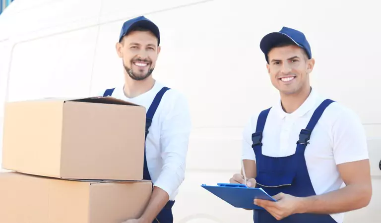 professionals ready for the job